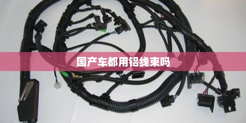 国产车都用铝线束吗 国产车都用铝线束吗