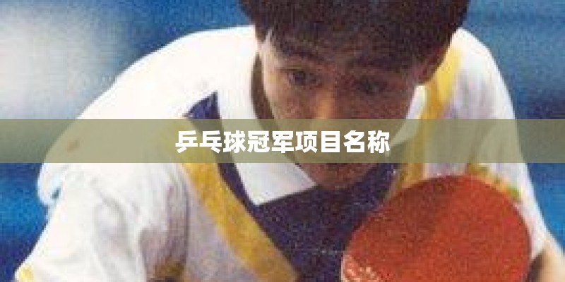 乒乓球冠军项目名称 乒乓球冠军项目名称