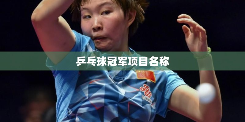 乒乓球冠军项目名称 乒乓球冠军项目名称