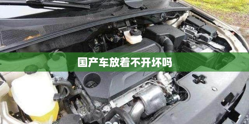 国产车放着不开坏吗