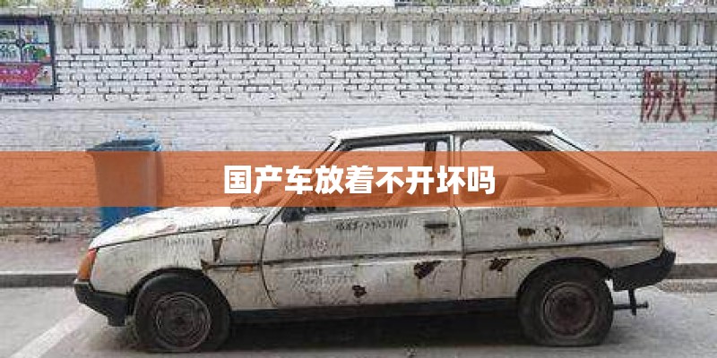 国产车放着不开坏吗