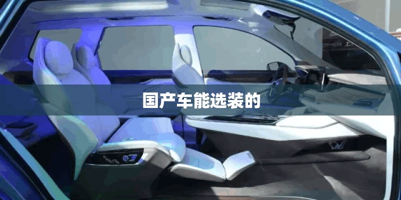 国产车能选装的 国产车能选装的