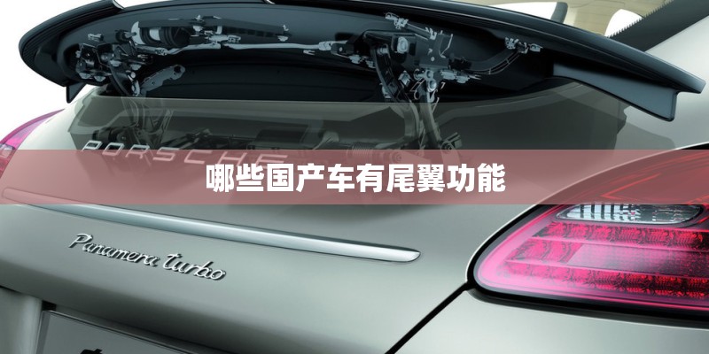 哪些国产车有尾翼功能 哪些国产车有尾翼功能
