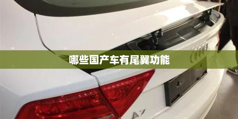 哪些国产车有尾翼功能 哪些国产车有尾翼功能