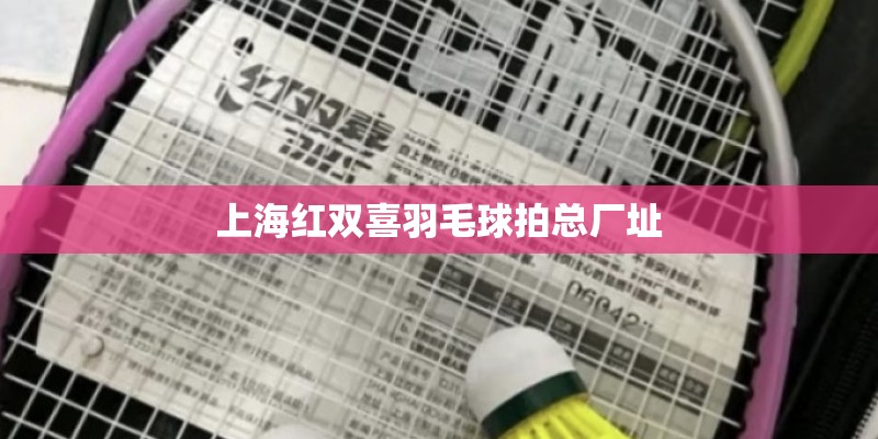 上海红双喜羽毛球拍总厂址