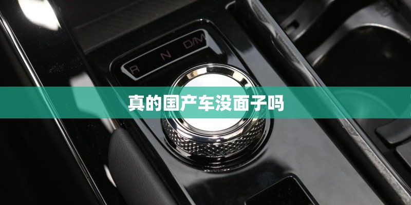 真的国产车没面子吗 真的国产车没面子吗