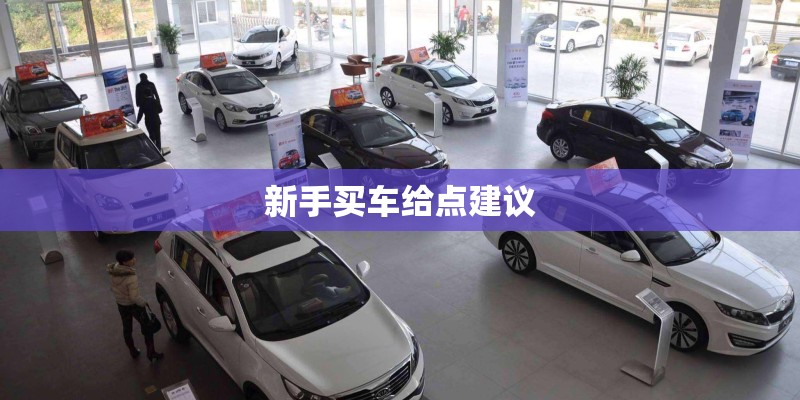 新手买车给点建议 新手买车给点建议