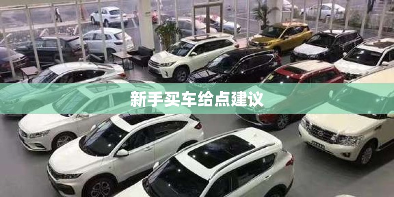 新手买车给点建议 新手买车给点建议