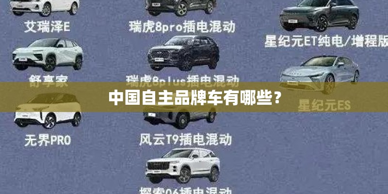 中国自主品牌车有哪些? 中国自主品牌车有哪些?
