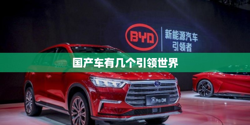 国产车有几个引领世界