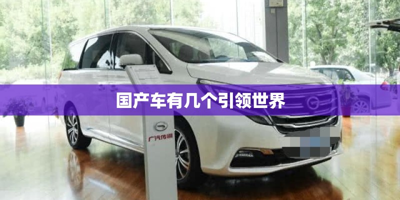 国产车有几个引领世界