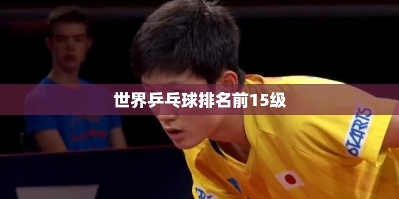 世界乒乓球排名前15级
