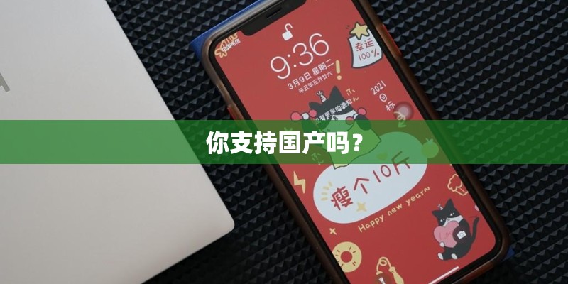 你支持国产吗? 你支持国产吗?
