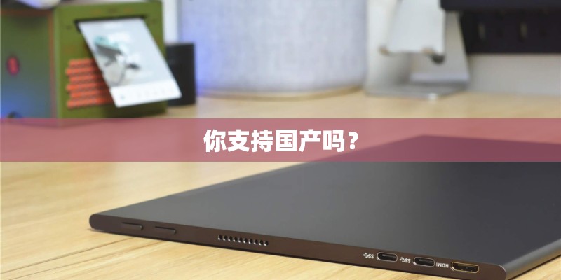 你支持国产吗? 你支持国产吗?