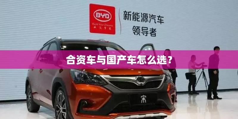 乒乓球的胶皮和套胶有何不同？