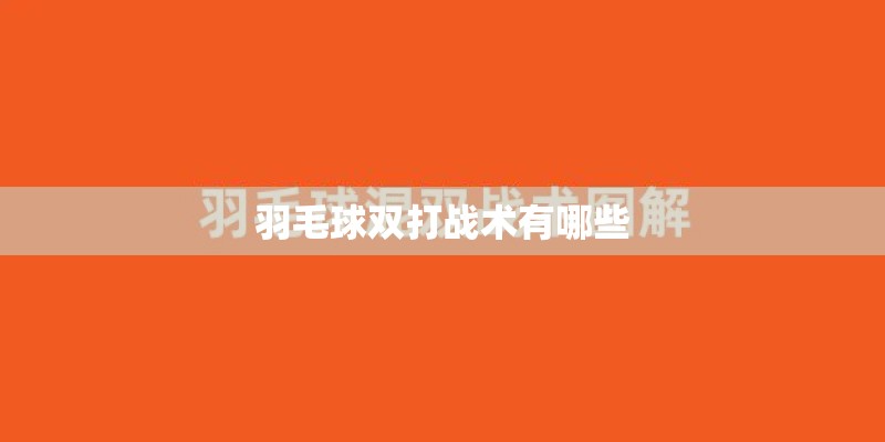 羽毛球双打战术有哪些