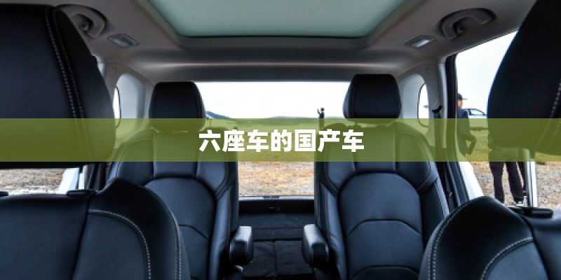六座车的国产车 六座车的国产车