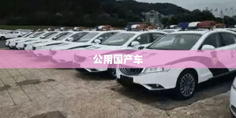 公用国产车