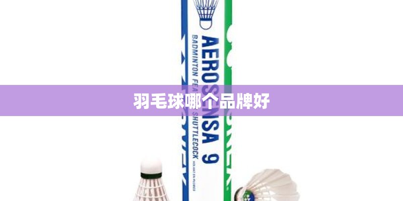 羽毛球哪个品牌好 羽毛球哪个品牌好