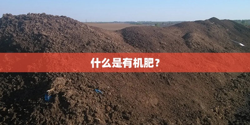 什么是有机肥? 什么是有机肥?