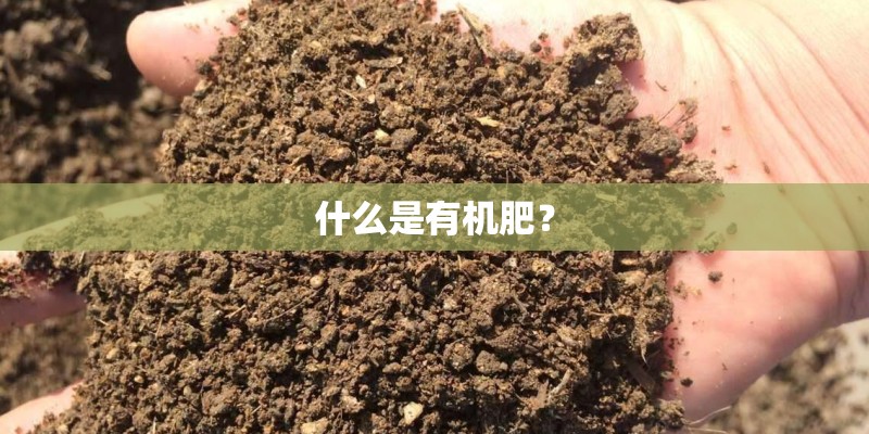 什么是有机肥? 什么是有机肥?