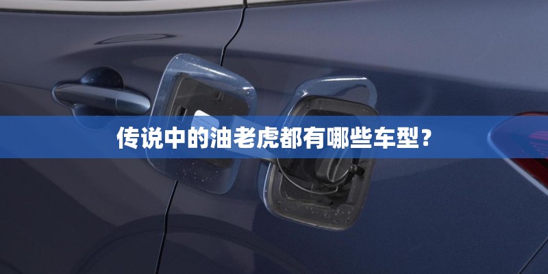 传说中的油老虎都有哪些车型? 传说中的油老虎都有哪些车型?