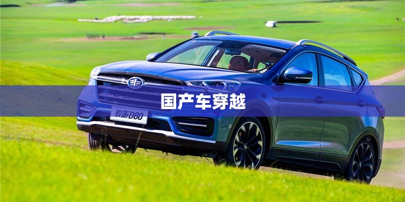 国产车穿越