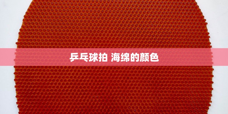 乒乓球拍 海绵的颜色