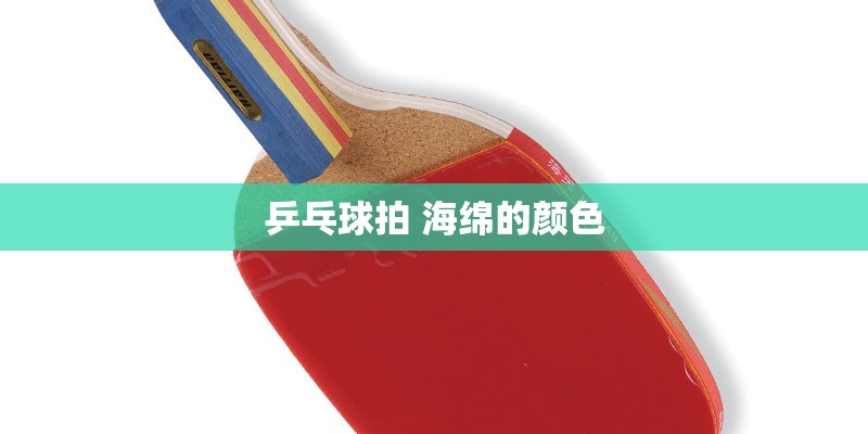 乒乓球拍 海绵的颜色
