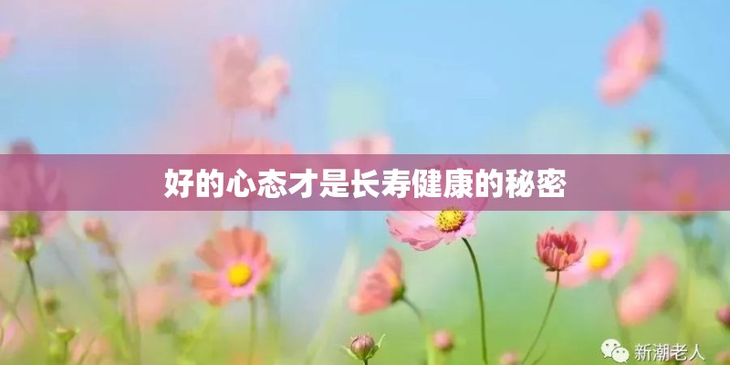 周工作总结