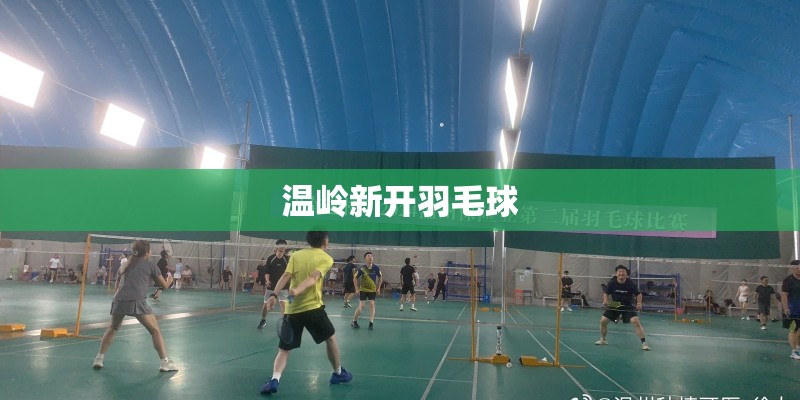 温岭新开羽毛球 温岭新开羽毛球