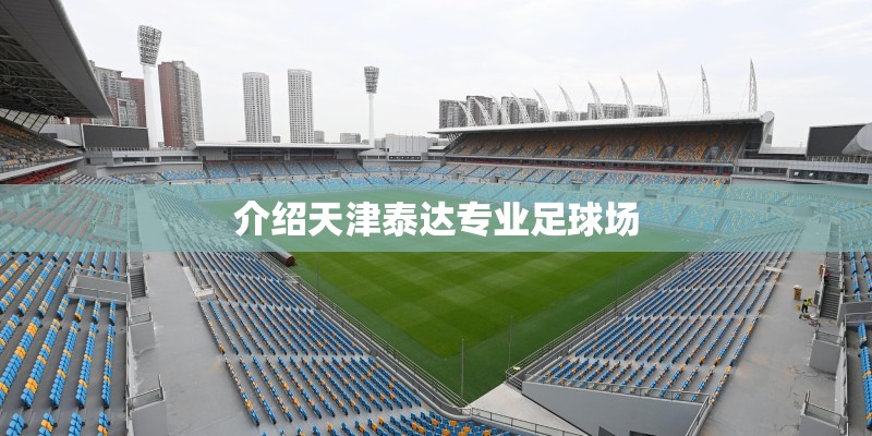 介绍天津泰达专业足球场