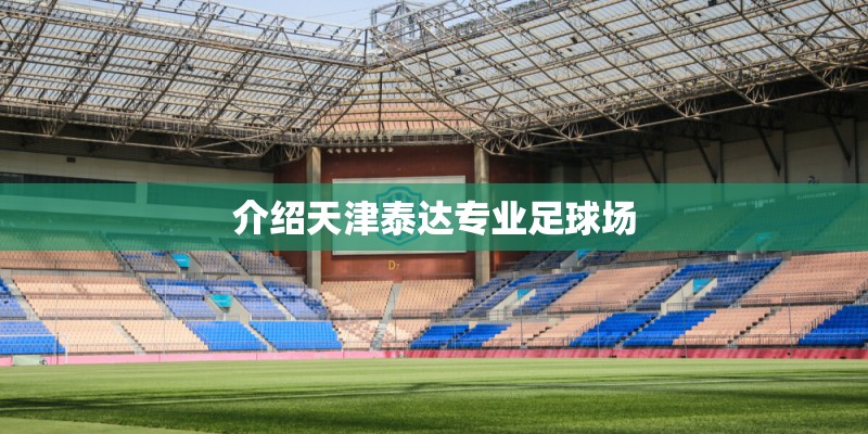 介绍天津泰达专业足球场