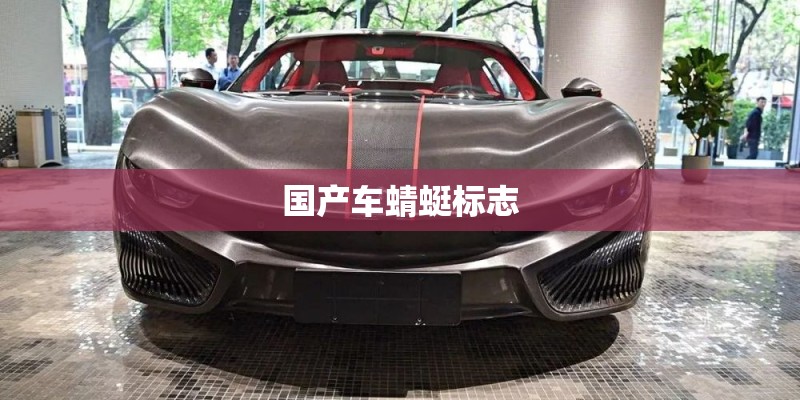 国产车蜻蜓标志