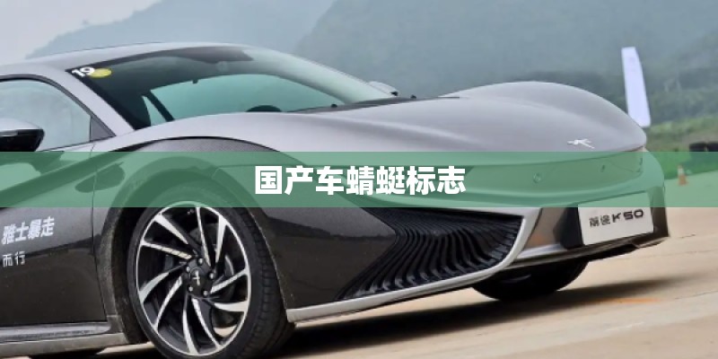国产车蜻蜓标志