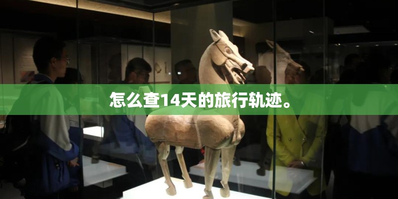 怎么查14天的旅行轨迹。 怎么查14天的旅行轨迹。