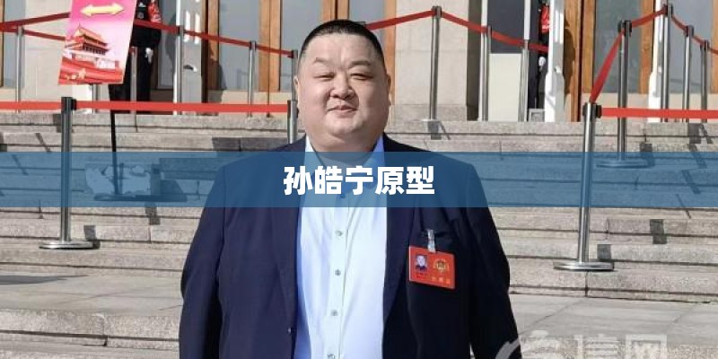 孙皓宁原型