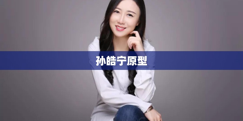 孙皓宁原型