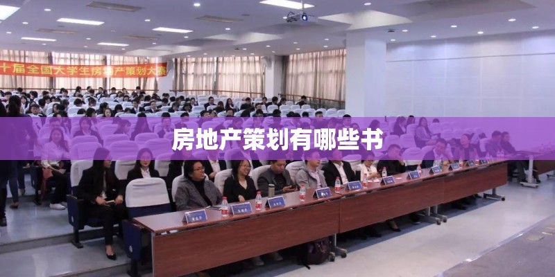 孙皓宁原型