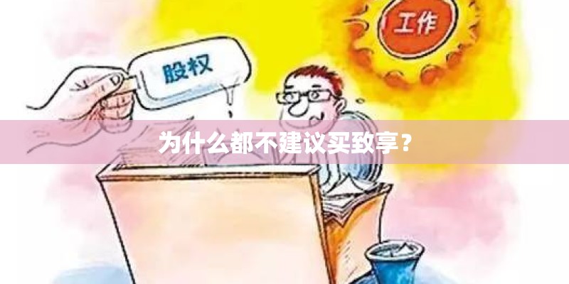 为什么都不建议买致享？