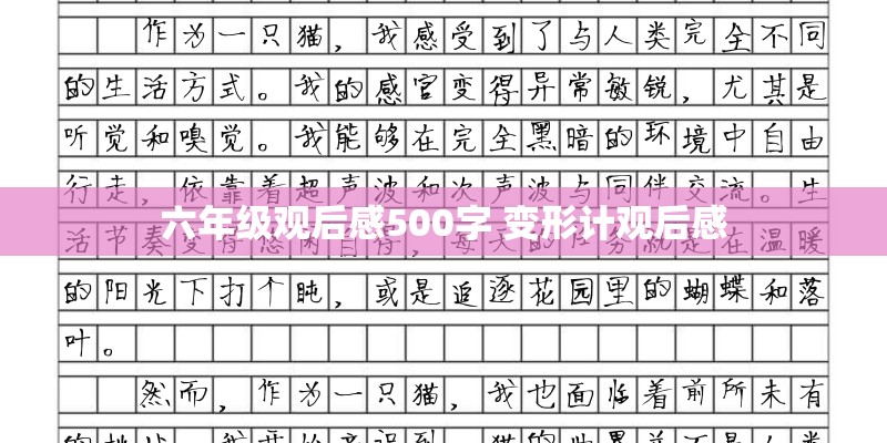 六年级观后感500字 变形计观后感