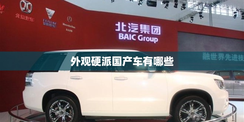 外观硬派国产车有哪些