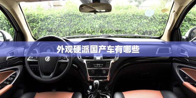 外观硬派国产车有哪些