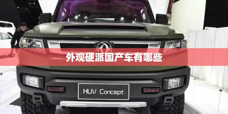 外观硬派国产车有哪些