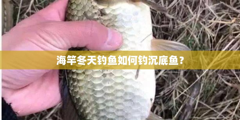 海竿冬天钓鱼如何钓沉底鱼? 海竿冬天钓鱼如何钓沉底鱼?