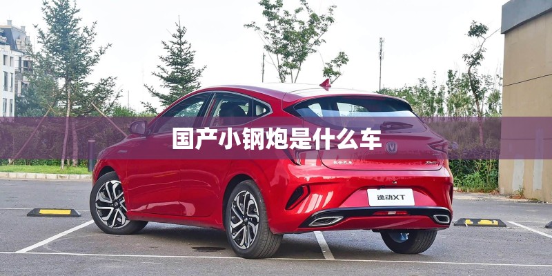 国产小钢炮是什么车