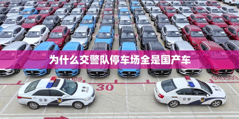 为什么交警队停车场全是国产车