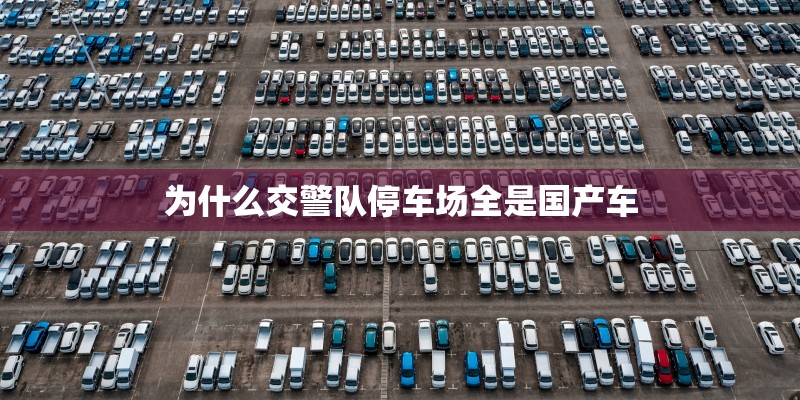为什么交警队停车场全是国产车
