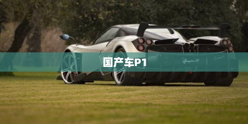 国产车P1 国产车P1