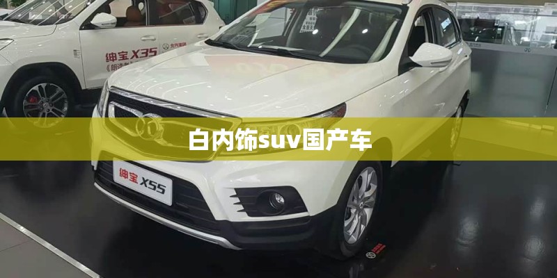 白内饰suv国产车
